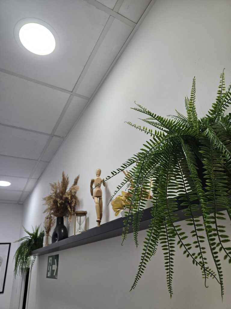 Decoración de la Clínica Axon en Valencia